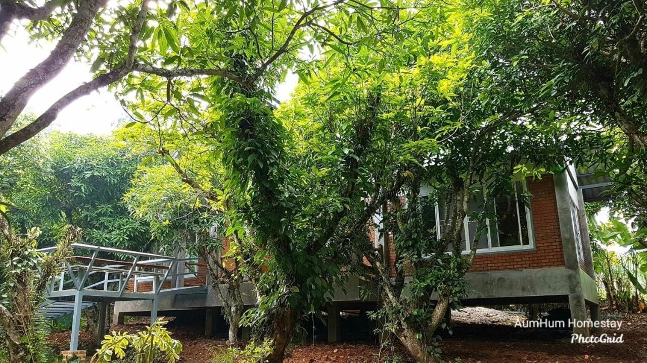 Aum Hum Homestay Fang Extérieur photo