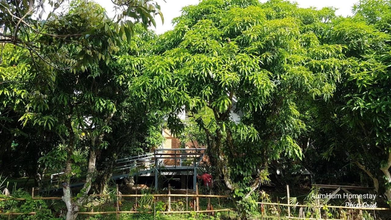Aum Hum Homestay Fang Extérieur photo