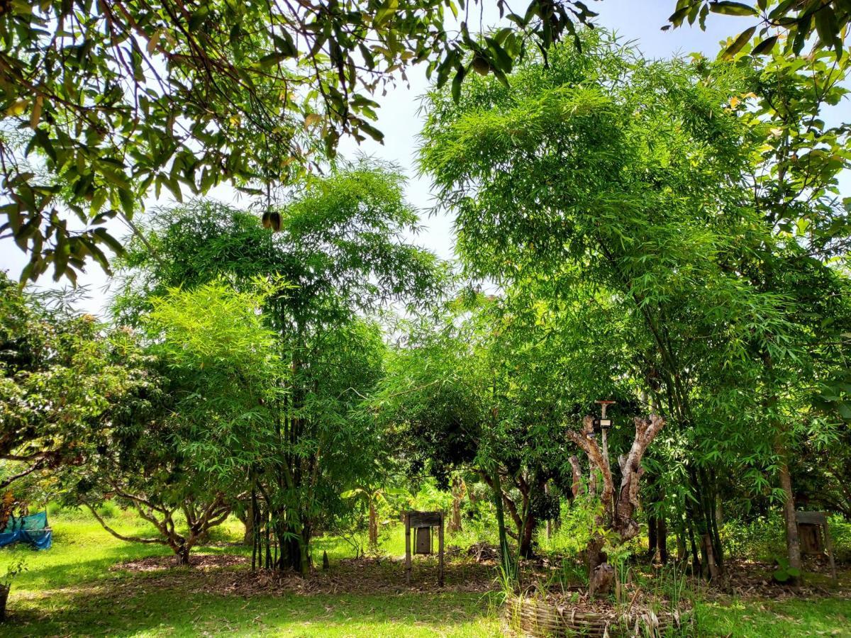 Aum Hum Homestay Fang Extérieur photo