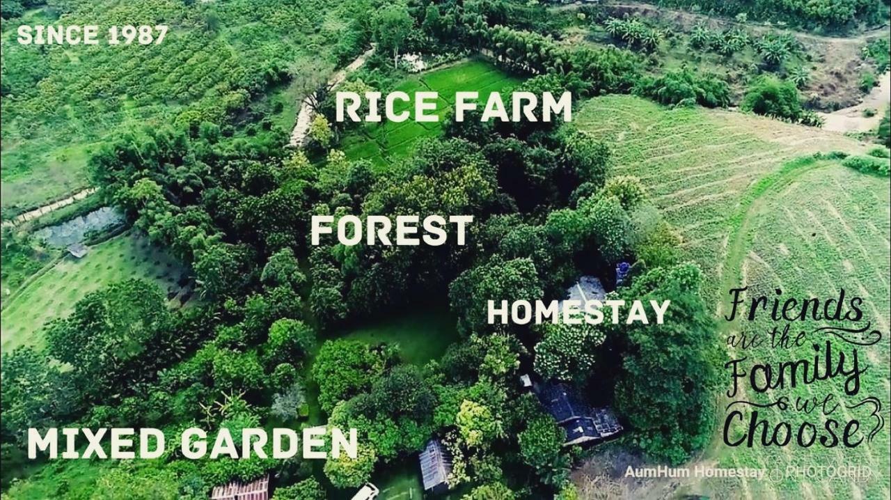 Aum Hum Homestay Fang Extérieur photo